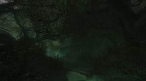 The Cursed Forest