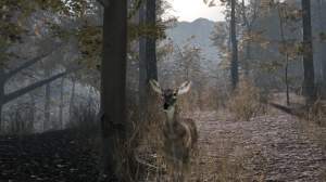 Pro Deer Hunting 2